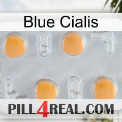 Blue Cialis 24